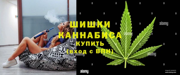 ПСИЛОЦИБИНОВЫЕ ГРИБЫ Сафоново