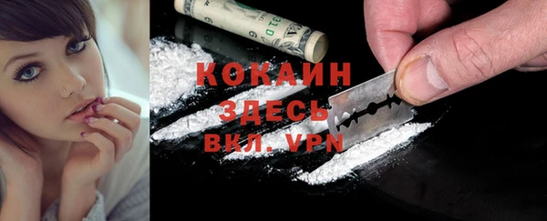 ПСИЛОЦИБИНОВЫЕ ГРИБЫ Сафоново