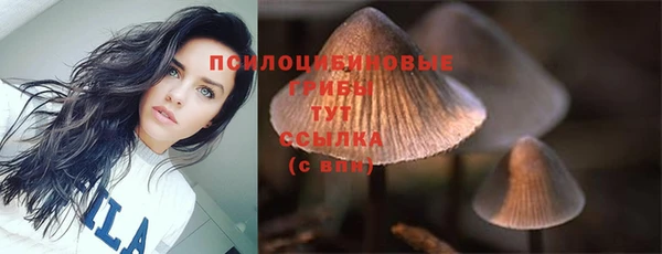 марки nbome Сатка