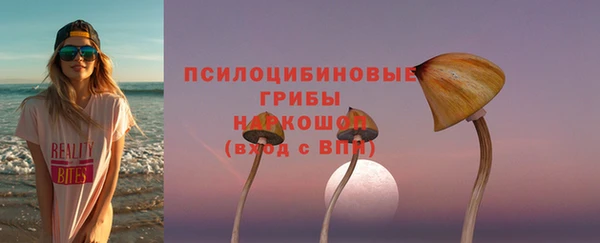 ПСИЛОЦИБИНОВЫЕ ГРИБЫ Сафоново