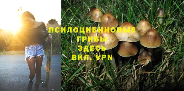 ПСИЛОЦИБИНОВЫЕ ГРИБЫ Сафоново