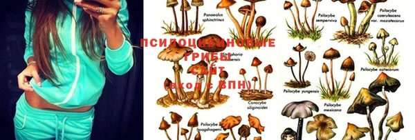 марки nbome Сатка